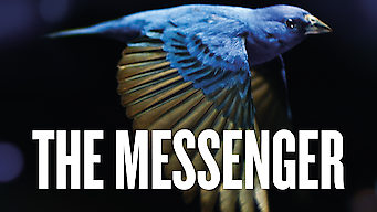 The Messenger