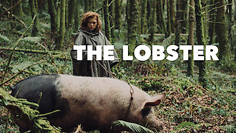 The Lobster