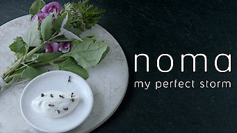 Noma: My Perfect Storm