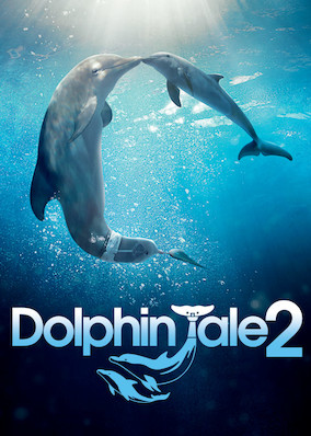 Dolphin Tale 2